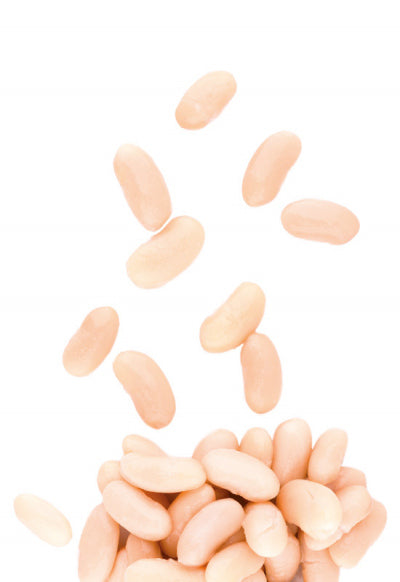 Ristoris Cannellini Beans (400g)